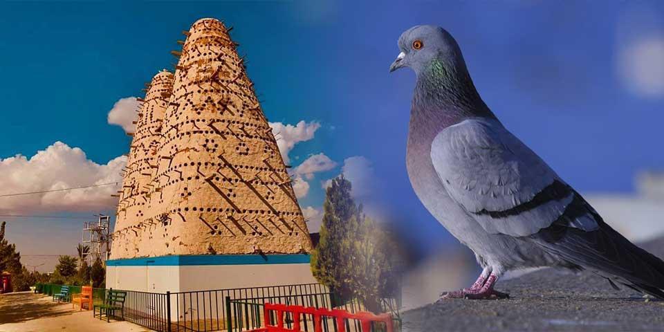 Pigeon tower in Erbil zoo