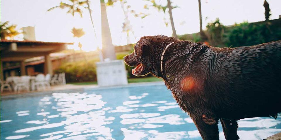 Animal hotel of Erbil Zoo